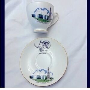 Vintage Royal Grafton Norman Wells NWT English fine bone china tea cup & saucer.